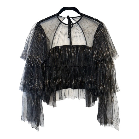 Alice McCall Tops - Alice McCall Chiffon Tulle Ruffled Blouse Size 4